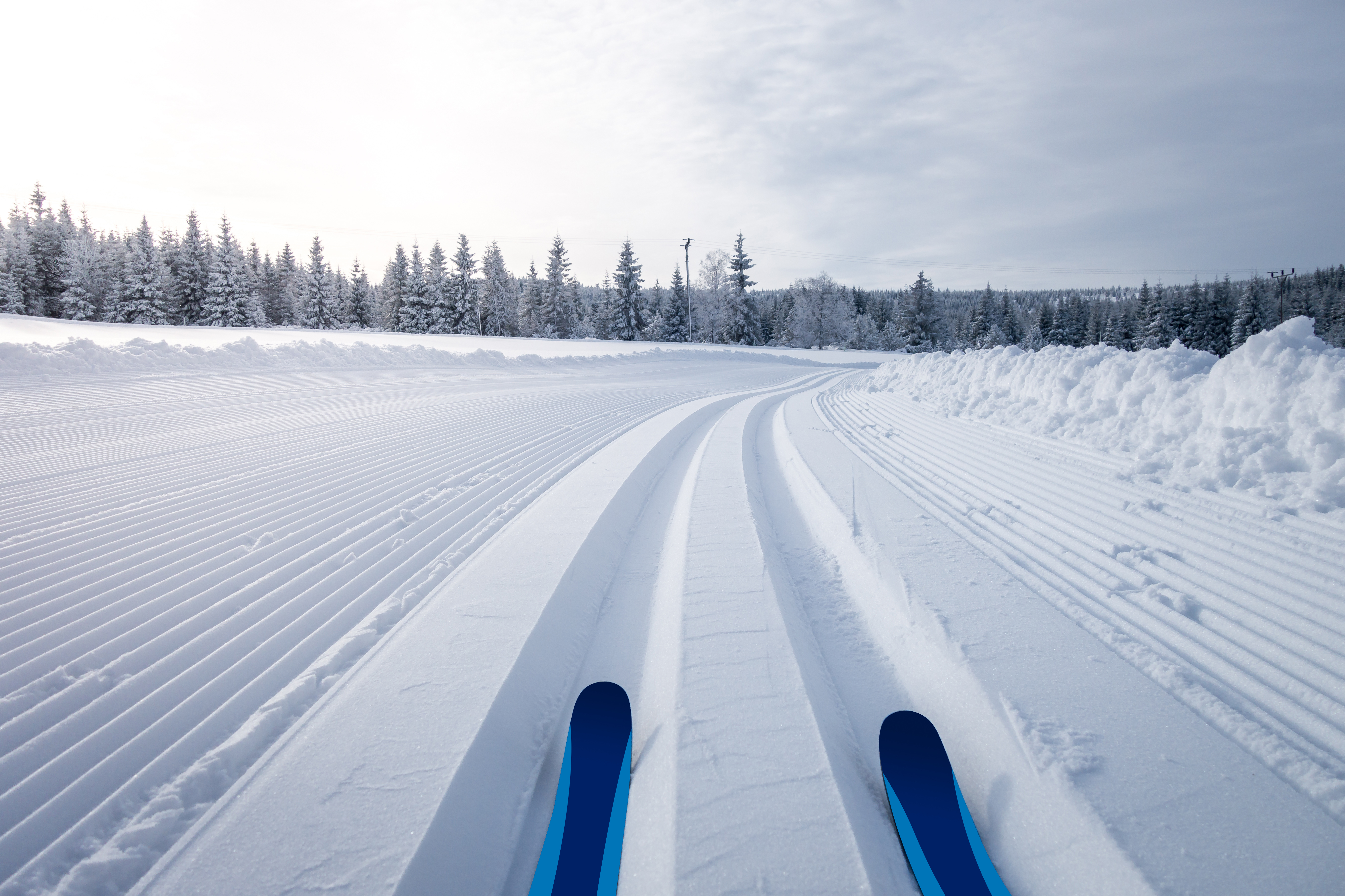 präparierte Langlaufspur mit sichtbaren Skispitzen