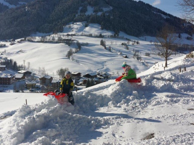 Hatzbauer - Urlaub am BIO-Bauernhof
