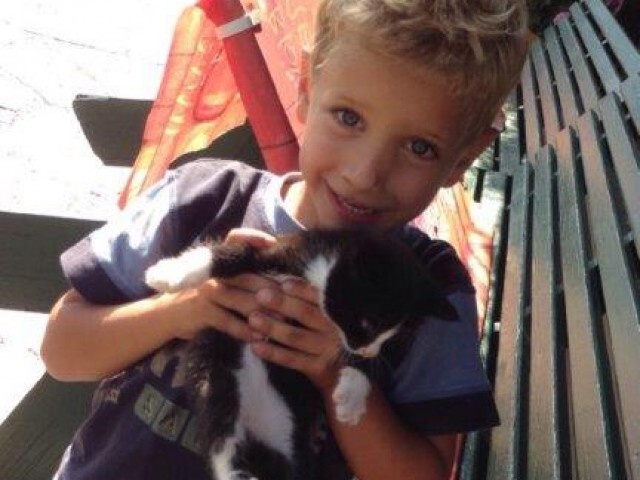 Hatzbauer - Urlaub am BIO-Bauernhof