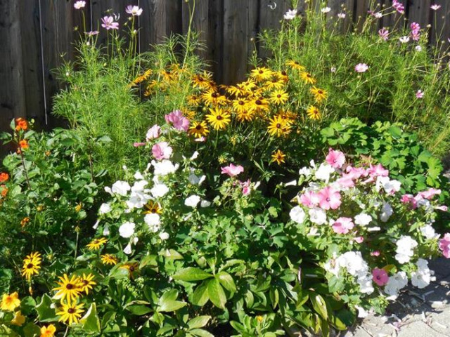 Ferienwohnungen Lederer in Maria Alm