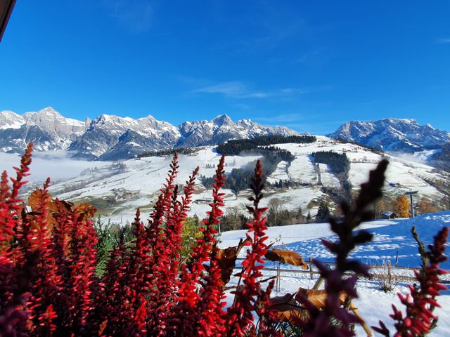Ferienwohnungen Berg Sait